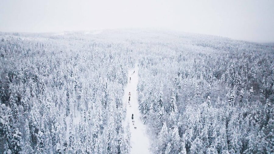 Levi: 15-Kilometres Self-Driving Husky Tour - Learning to drive a two-person sled