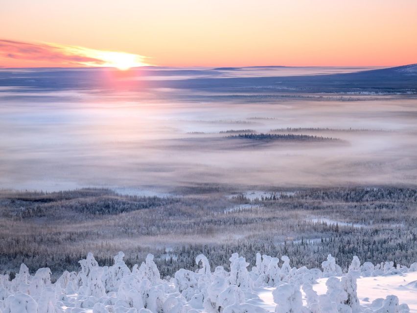 Levi: 4 Hour Snowmobile Safari to the Fells in Levi - The return ride from Sirkka