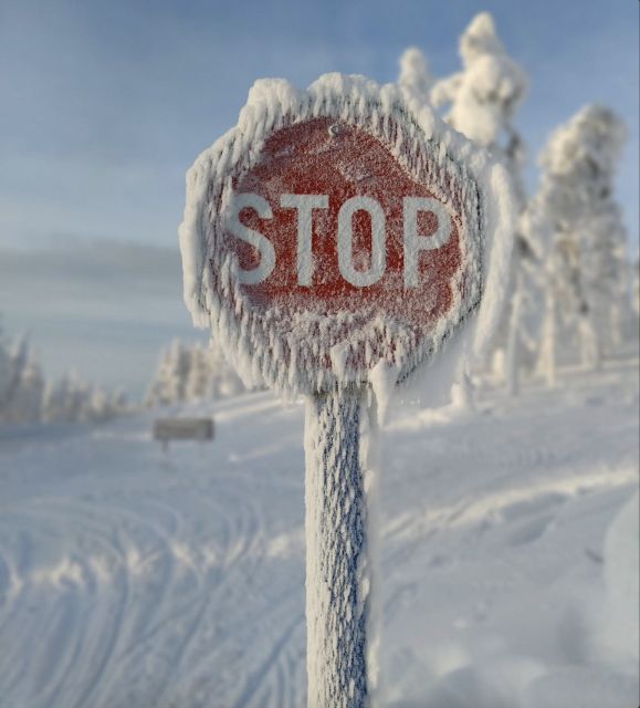 Levi: 4 Hour Snowmobile Safari to the Fells in Levi - Guides, safety, and the pace of the day