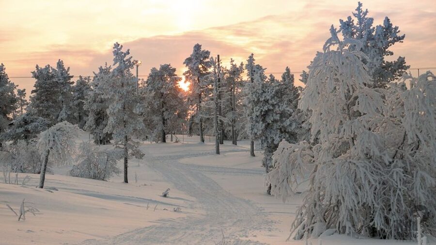 Levi: 4 Hour Snowmobile Safari to the Fells in Levi - The first 105 minutes through snowy forests