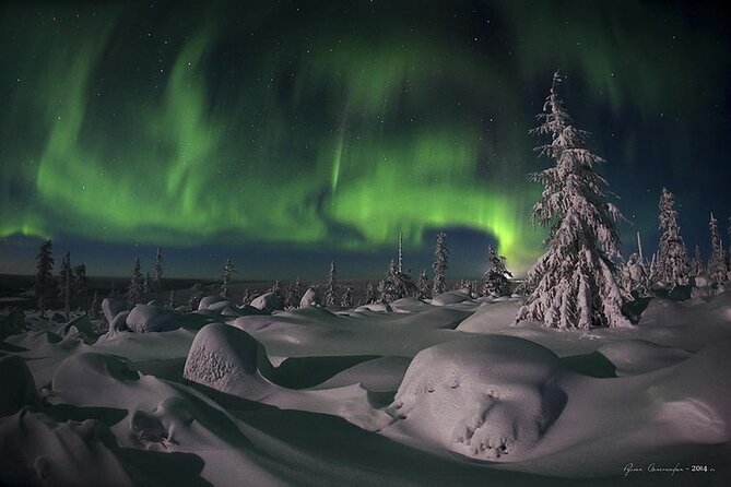 Levi: Aurora Borealis Tour and Stargazing Experience - Campfire food and a warm place to recover