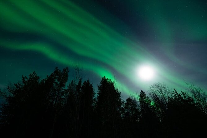 Levi: Aurora Borealis Tour and Stargazing Experience - The guide’s role in finding the lights