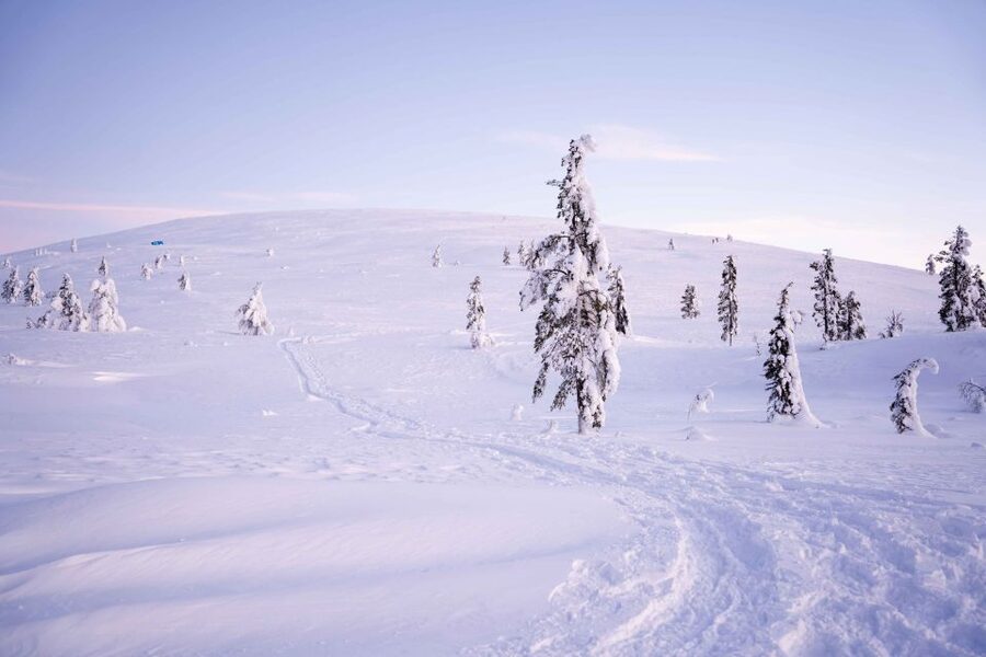 Levi: Backcountry Skiing Adventure - Key points to know before booking