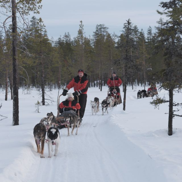 Levi: Evening Husky Sled Ride under the Northern Lights - Is $341 per person fair value?