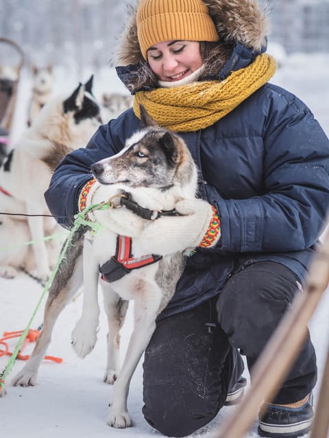Levi: Guide-driven Husky Safari - The guide-driven ride through snowy forest