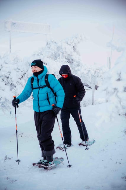 Levi: Guided Snowshoeing Adventure - Leaving Levi behind on snowshoes