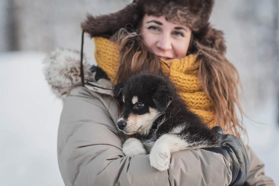 Levi: Horse and Husky Farm Visit with Juice and Cookies - Key points to know before you book