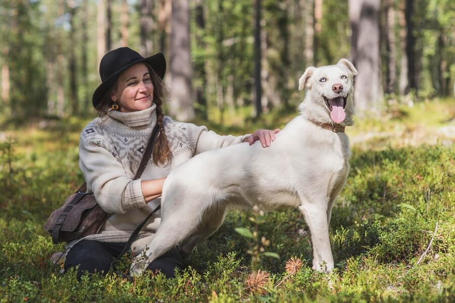 Levi: Horse and Husky Farm Visit with Juice and Cookies - Finnish horses and domestic reindeer