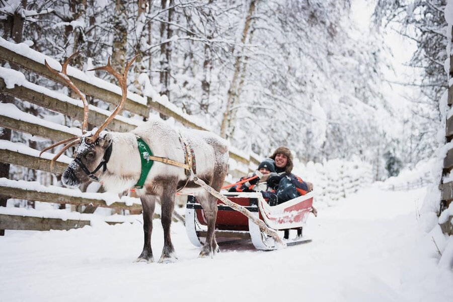 Levi: Husky and Reindeer Farm Visit with Snowmobiling - Five things to know before booking