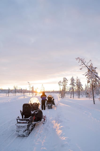 Levi: Husky and Reindeer Farm Visit with Snowmobiling - Who should book this Levi outing?