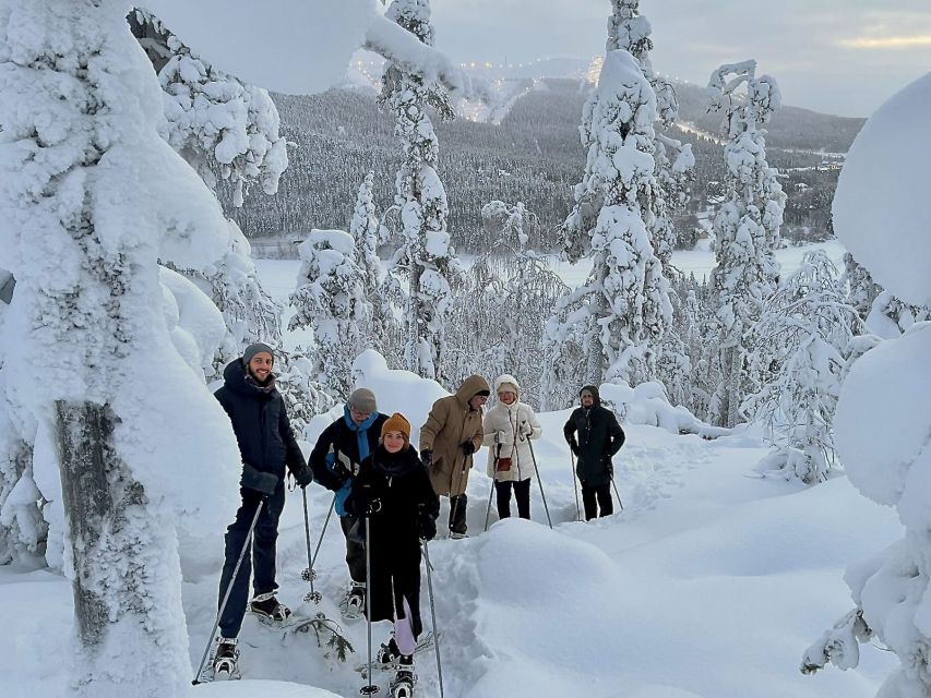 Levi: Lakeside forest snowshoeing - Key things to know