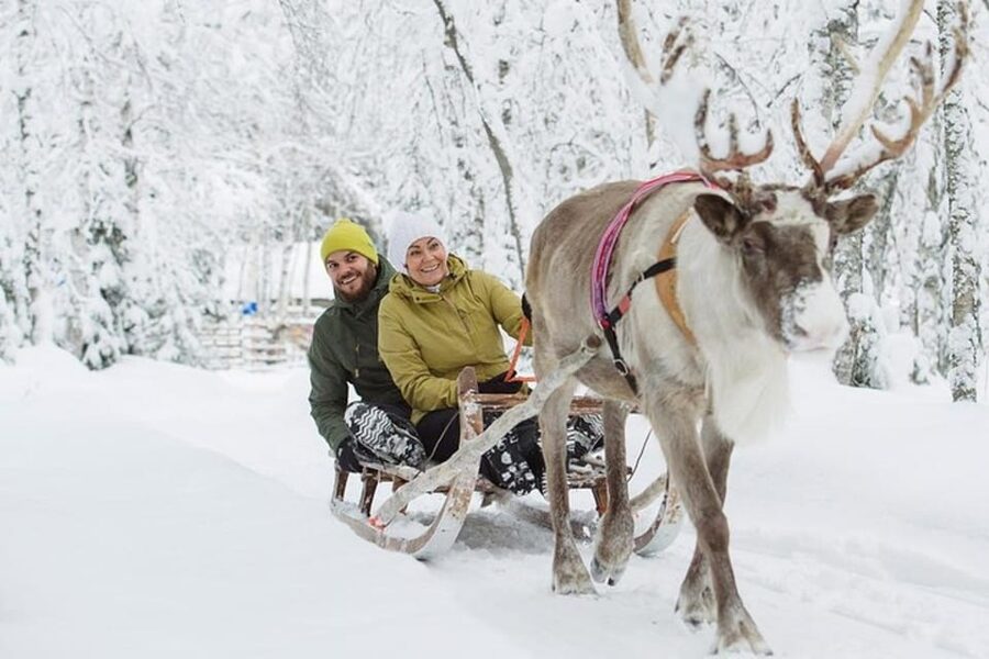 Levi: Lapland Reindeer and Husky Safari - A quieter start at the reindeer farm