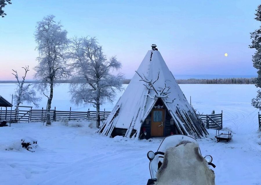 Levi: Lapland Reindeer Safari - Key points to know before you book