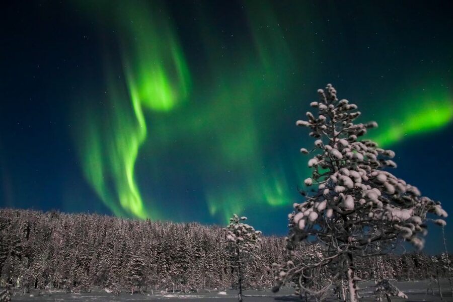 Levi: Northern Lights Campfire - Why the Forecast Matters More Than the Promise