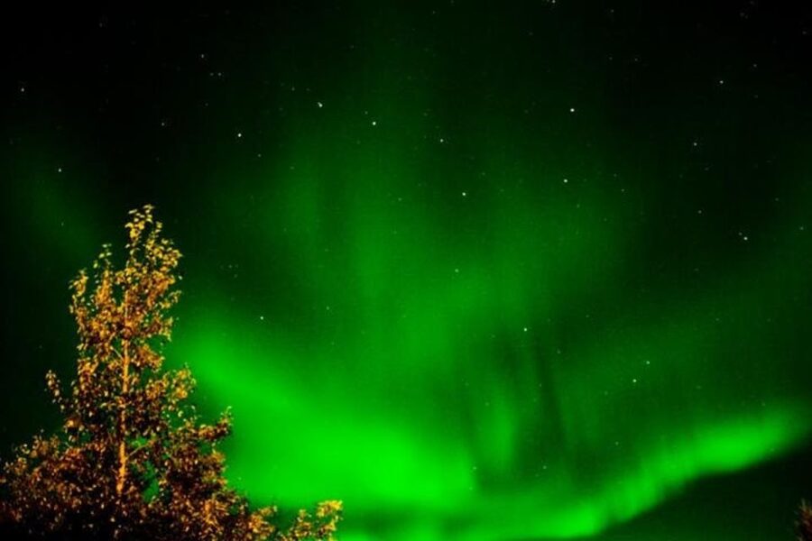 Levi: Northern Lights Hunt Including Campfire Snacks - Sausage, snacks, and hot berry juice