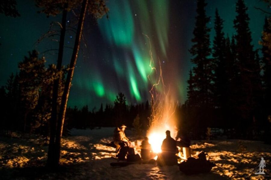 Levi: Northern Lights Hunt Including Campfire Snacks - Clothing and comfort in Lapland