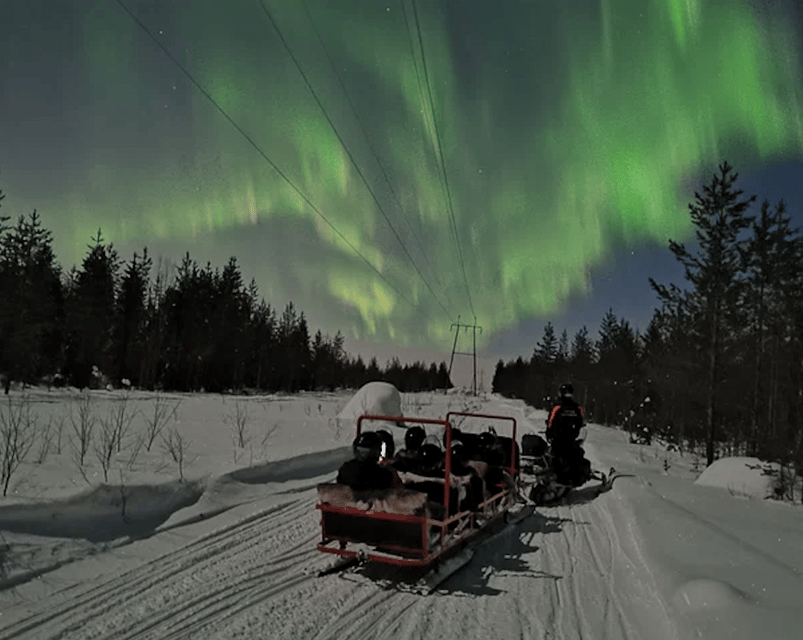 Levi: Northern Lights Sledge Ride - Key points to know before you book