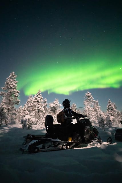 Levi: Northern Lights Sledge Ride - Riding into the dark wilderness