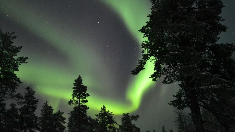Levi: Northern Lights Snowmobile Tour with Snacks and Drinks - Should you book the Levi Northern Lights snowmobile tour?