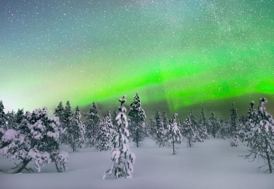 Levi: Northern Lights Snowmobile Tour with Snacks and Drinks - The secret stop and its open-fire snack