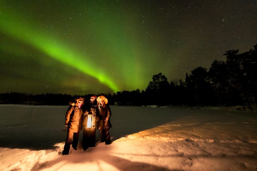 Levi: Northern Lights Tour by Minivan - Key points to know before booking