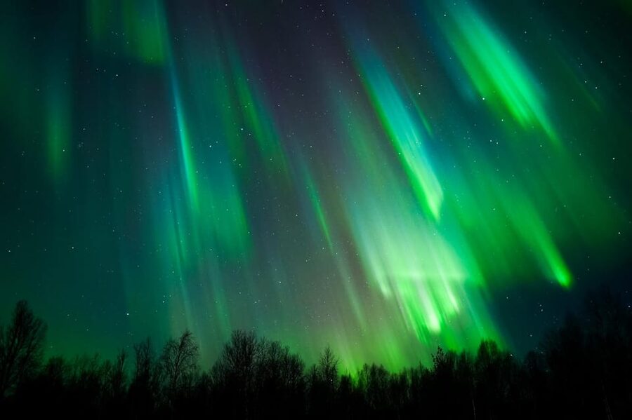 Levi: Northern Lights Tour with Guaranteed Sightings - Reading the sky with the Aurora team