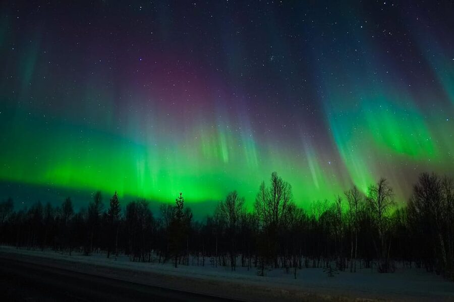 Levi: Northern Lights Tour with Guaranteed Sightings - What happens at the viewing stops