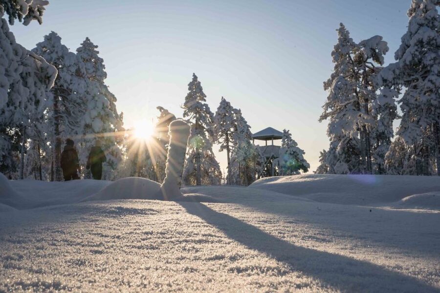 Levi: Pallas National Park Adventure with Pro Photos & BBQ - Key points to know before booking