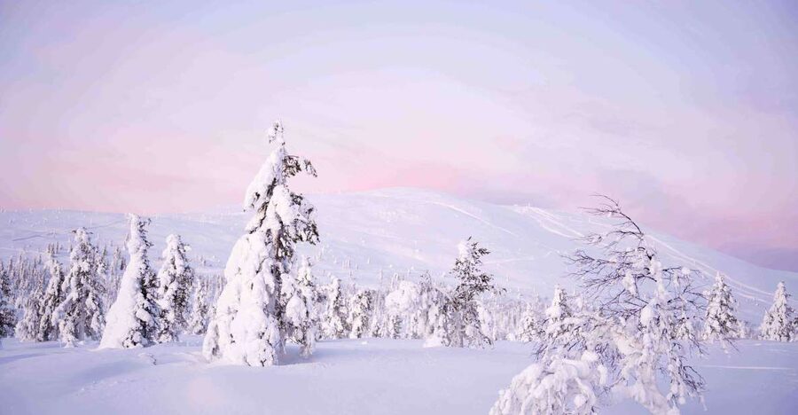 Levi: Pallas National Park Adventure with Pro Photos & BBQ - From Sirkka to the quiet side of Lapland