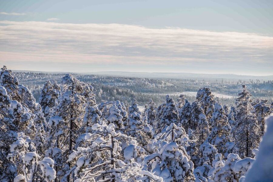 Levi: Pallas National Park Adventure with Pro Photos & BBQ - What the five-hour schedule really gives you