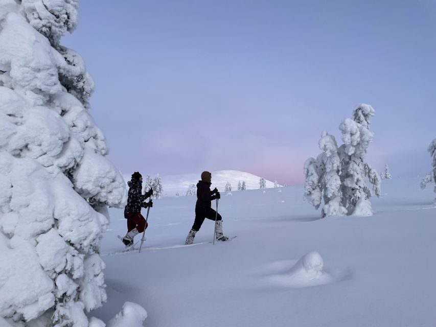 Levi: Pallas-Yllästunturi National Park Snowshoeing Tour - Why Pallas is the right setting for snowshoeing