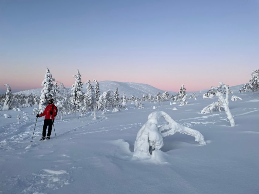 Levi: Pallas-Yllästunturi National Park Snowshoeing Tour - A one-hour campfire break in a warm hut