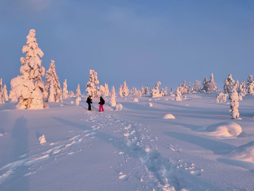 Levi: Pallas-Yllästunturi National Park Snowshoeing Tour - What the $187 price really covers
