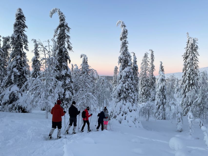 Levi: Pallas-Yllästunturi National Park Snowshoeing Tour - Booking details worth knowing