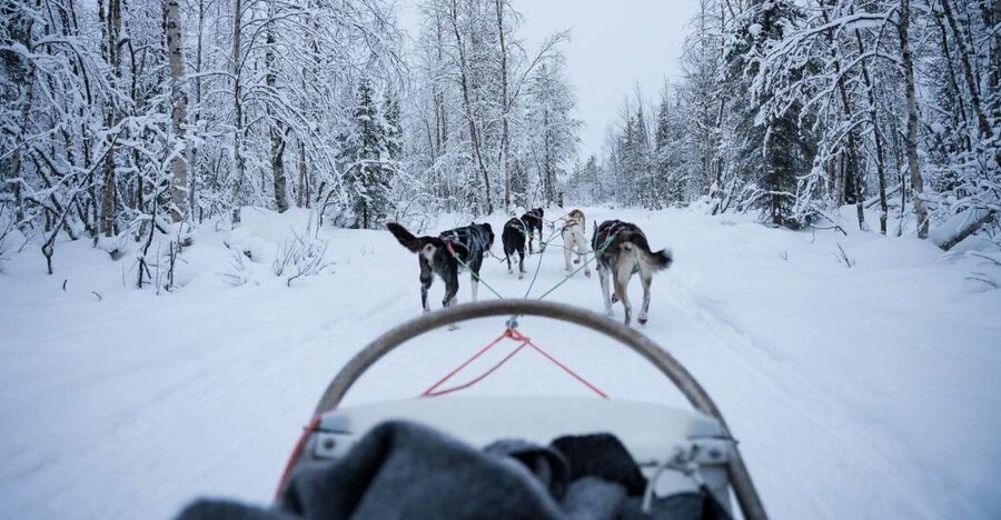 Levi Polar Lights Tours: Arctic Circle Guided Husky Tour - Learning to handle a two-person dogsled