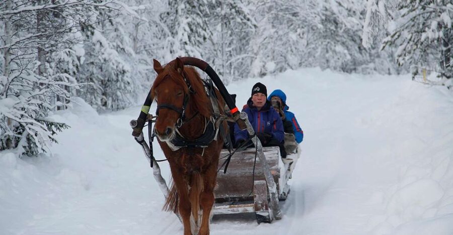 Levi, Polar Lights Tours: One Horse Open Sleigh Ride - Key points at a glance