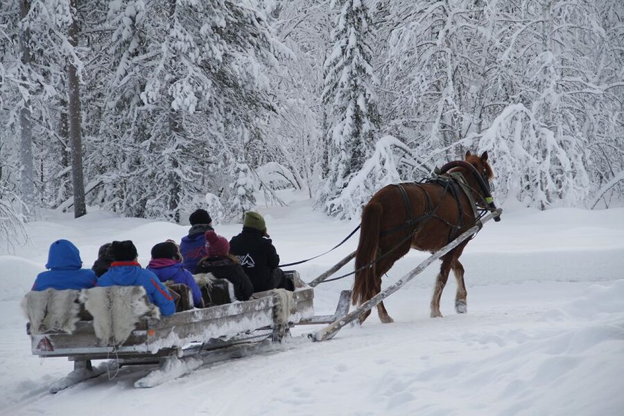 Levi, Polar Lights Tours: One Horse Open Sleigh Ride - A quiet way to see Lapland after dark