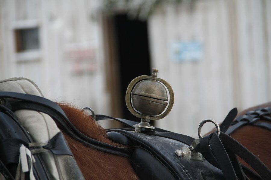 Levi, Polar Lights Tours: One Horse Open Sleigh Ride - Meeting at Hissitie 11 in Levi Center