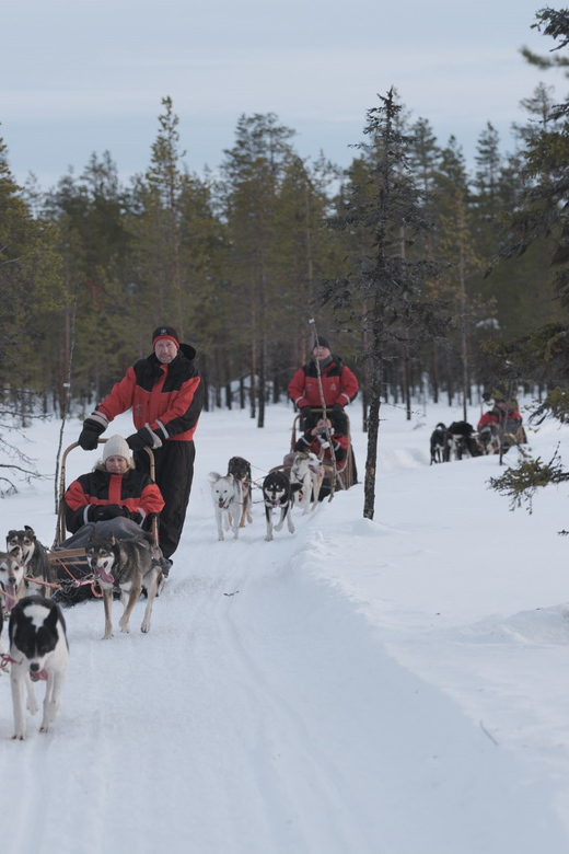 Levi Polar Lights Tours: Path of the Gnome Husky Safari 15km - Why This Husky Safari Feels More Hands-On