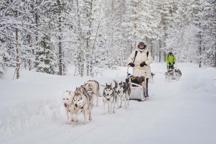Levi Polar Lights Tours: Path of the Gnome Husky Safari 15km - Meeting the Polar Lights Tours Bus in Levi