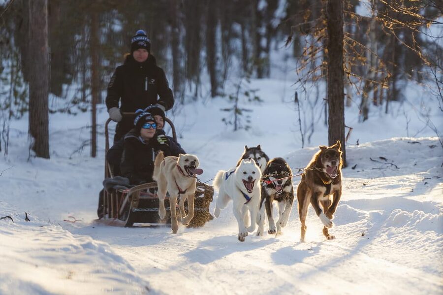 Levi Polar Lights Tours: Path of the Gnome Husky Safari 15km - The 15 to 18 Kilometer Run Through Lapland