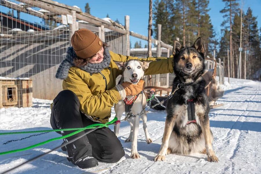 Levi Polar Lights Tours: Reindeer and Husky Taster - How the timing works in real life