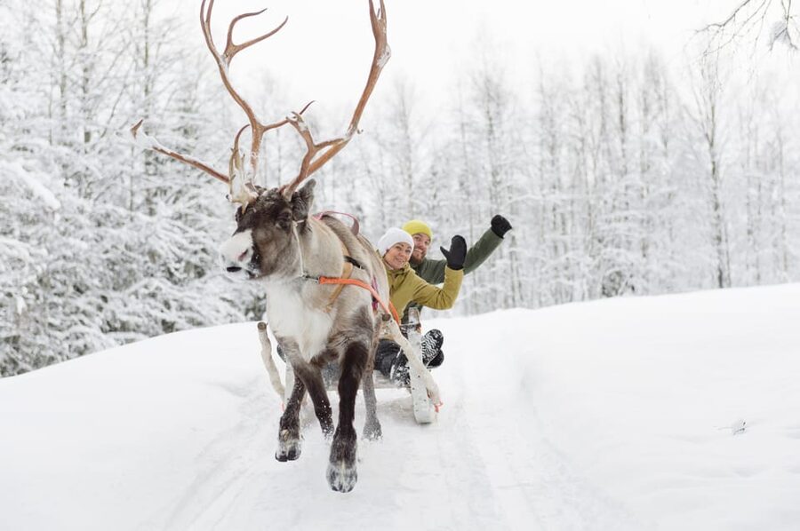 Levi: Reindeer Experience with Sled Ride - What the two-hour schedule means