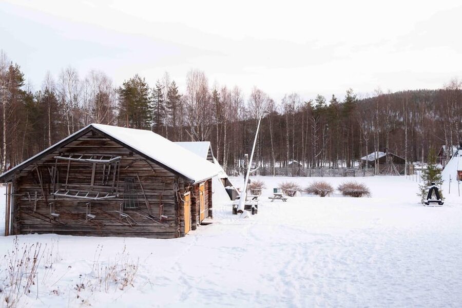Levi: Reindeer Farm E-Fatbike Safari - Key points to know before you book