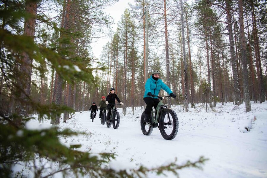 Levi: Reindeer Farm E-Fatbike Safari - The fell scenery is part of the reward