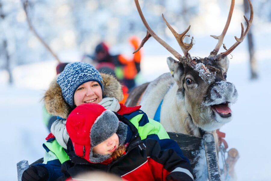 Levi: Reindeer Sleigh Ride Tour in Snowy Forest - The 30-minute sleigh ride and the meaning of Kermikkä