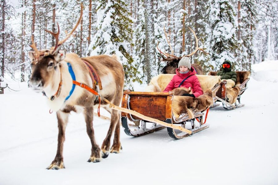 Levi: Reindeer Sleigh Ride Tour in Snowy Forest - How long the outing really takes
