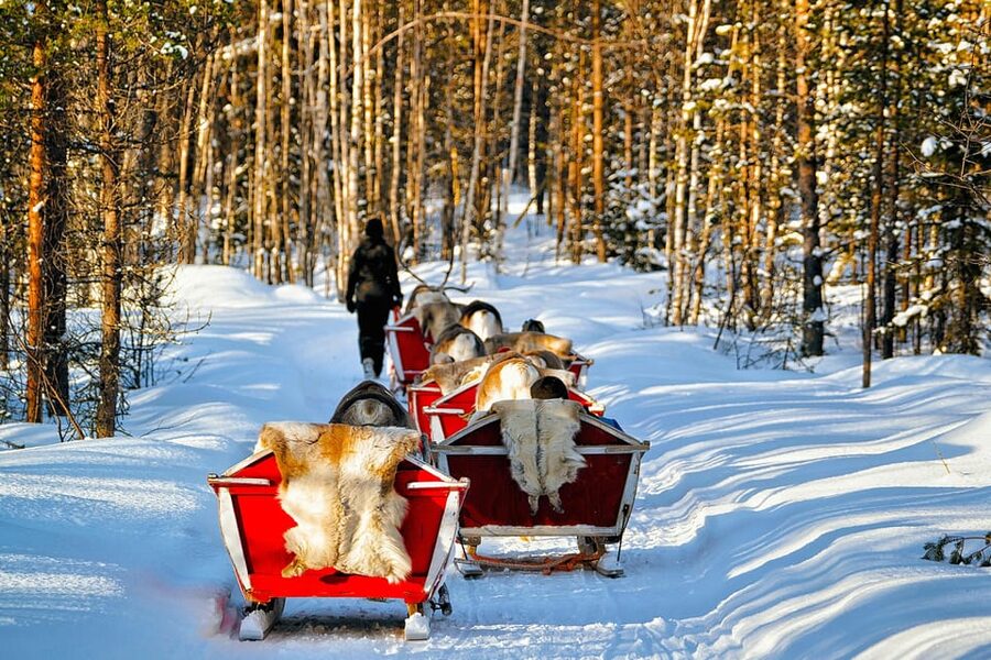 Levi: Reindeer Sleigh Ride Tour in Snowy Forest - Meeting the Polar Lights Tours vehicle at Hissitie 11