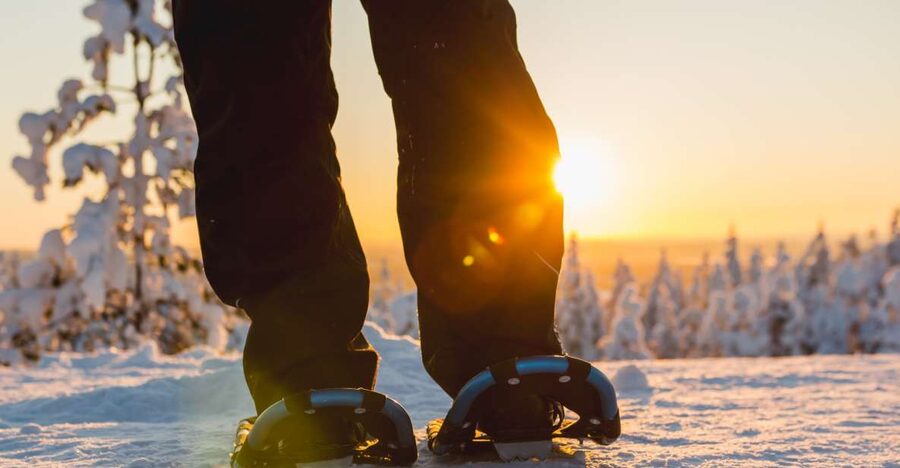 Levi: Scenic Levi Snowshoe Trip - White forest scenery and photo stops