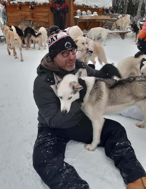 Levi: Self-Drive 2 KM Husky Sledding Experience - A 2-kilometer run that favors first-timers